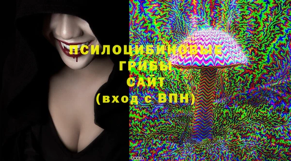 стаф Кодинск