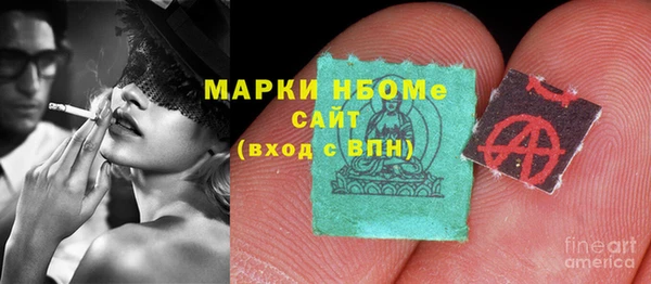 стаф Кодинск